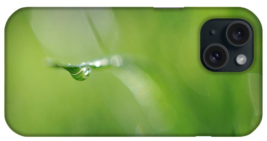 Dew Drop iPhone Case featuring the photograph Beneath by Michelle Wermuth