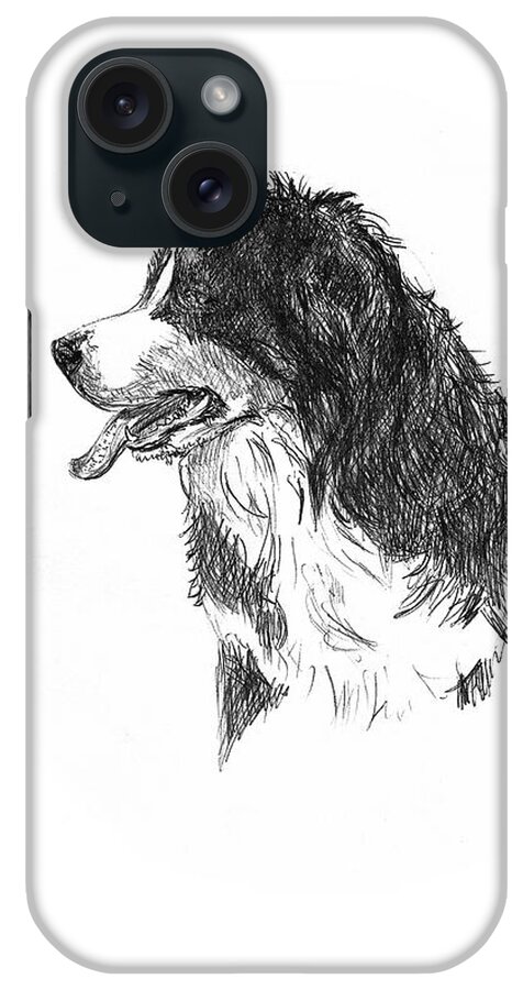 Bernese Mountain Dog iPhone Case featuring the drawing Bernese Mountain Dog by Masha Batkova