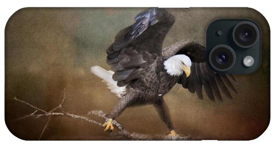 Bald Eagle iPhone Case featuring the photograph Big Challenges by Jai Johnson