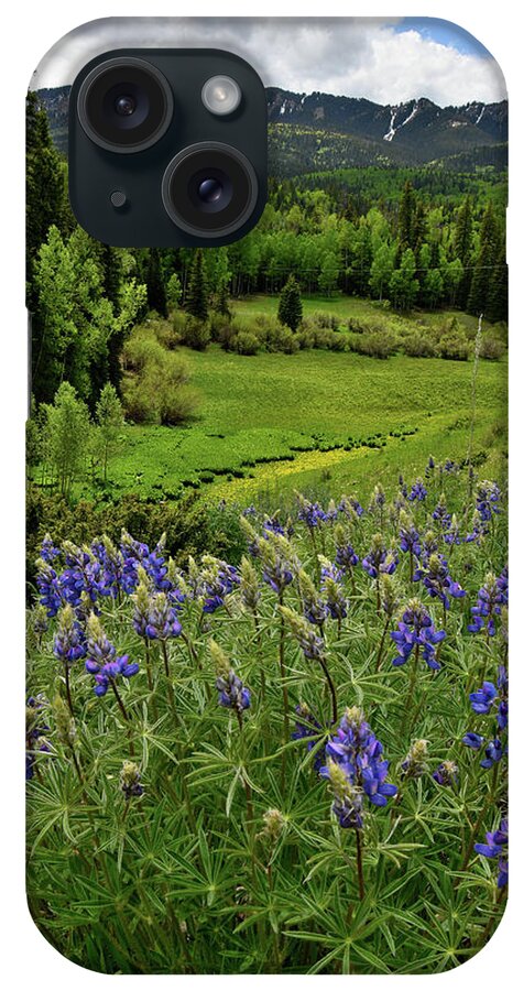 Highway 50 iPhone Case featuring the photograph Big Cimarron Lupine by Ray Mathis