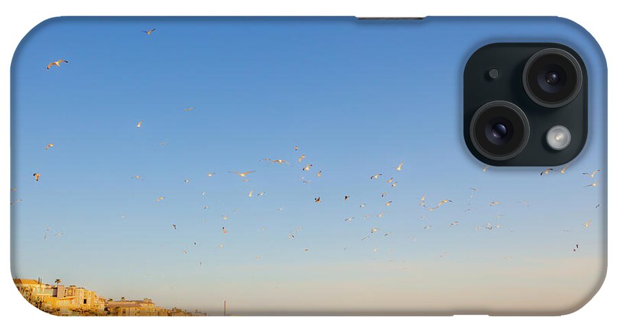 Carlsbad Village Beach iPhone Case featuring the photograph 5 O'clock Bird Flight by Catherine Walters