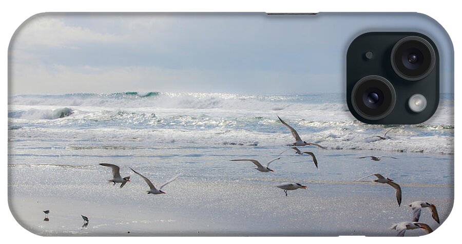  iPhone Case featuring the photograph Bird Flight at Moonlight Beach by Catherine Walters