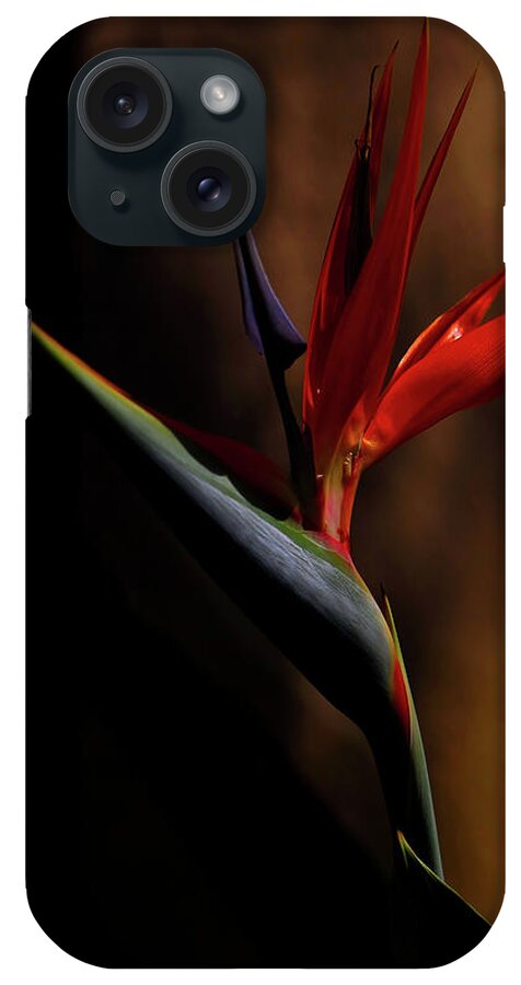 Bird Of Paradise iPhone Case featuring the photograph Bird Of Paradise by Kandy Hurley