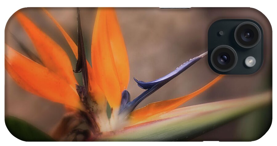 Bird Of Paradise iPhone Case featuring the photograph Bird Of Paradise by Mary Lou Chmura