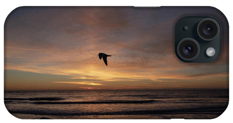 Bird iPhone Case featuring the photograph Bird's Eye View Of Hilton Head Island Sunrise No. 319 by Dennis Schmidt