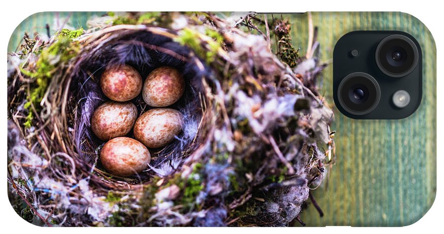 Easter iPhone Case featuring the photograph Birds Nest With Eggs by Deimagine