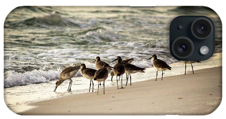 Florida iPhone Case featuring the photograph Birds on the Beach by Doug Camara
