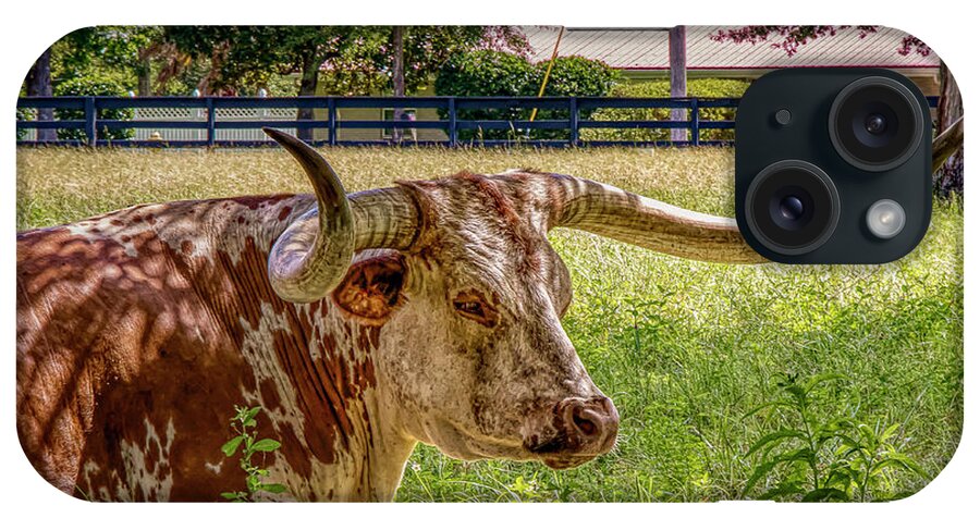 Cow iPhone Case featuring the photograph Birthday Cake by JASawyer Imaging