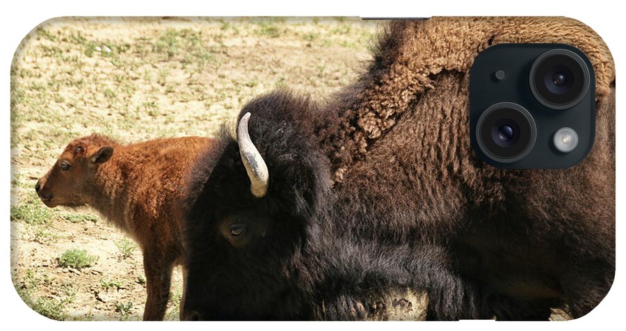 Buffalo iPhone Case featuring the photograph Bison in North Dakota by Ryan Crouse