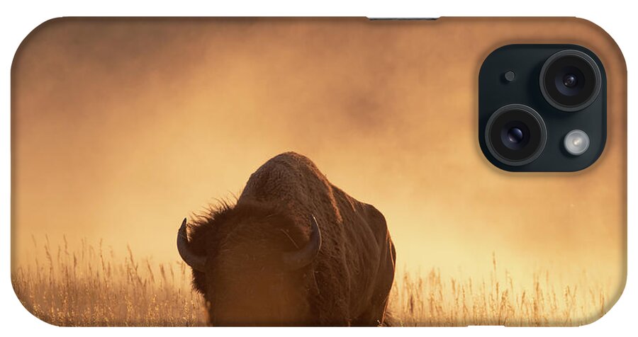 Bison iPhone Case featuring the photograph Bison in the dust 2 by Mary Hone