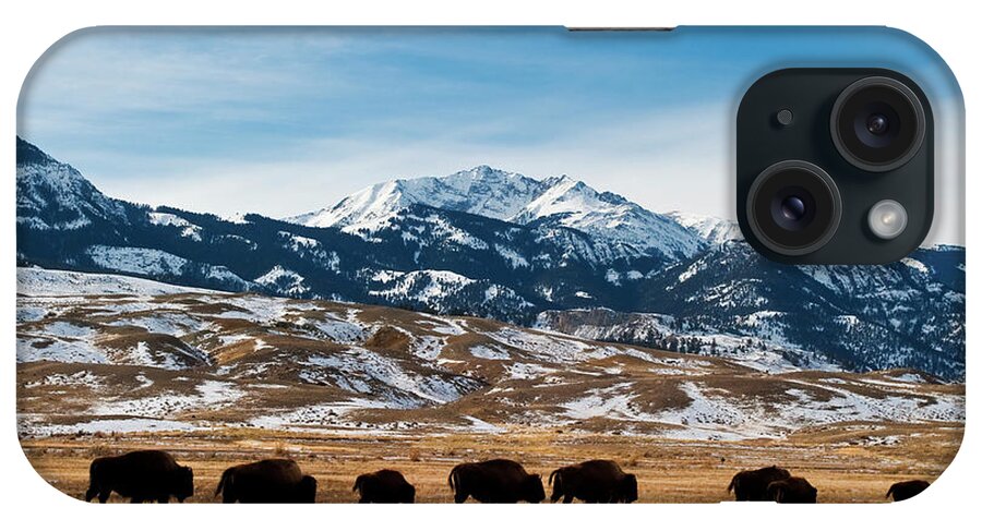Scenics iPhone Case featuring the photograph Bison Migration by Mark Miller Photos
