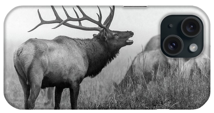 Bull Elk iPhone Case featuring the photograph Black and White Bull Elk by Eric Albright