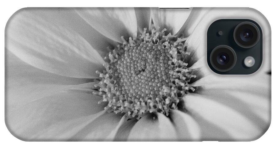 Daisy iPhone Case featuring the photograph Black and White Daisy by Laura Smith