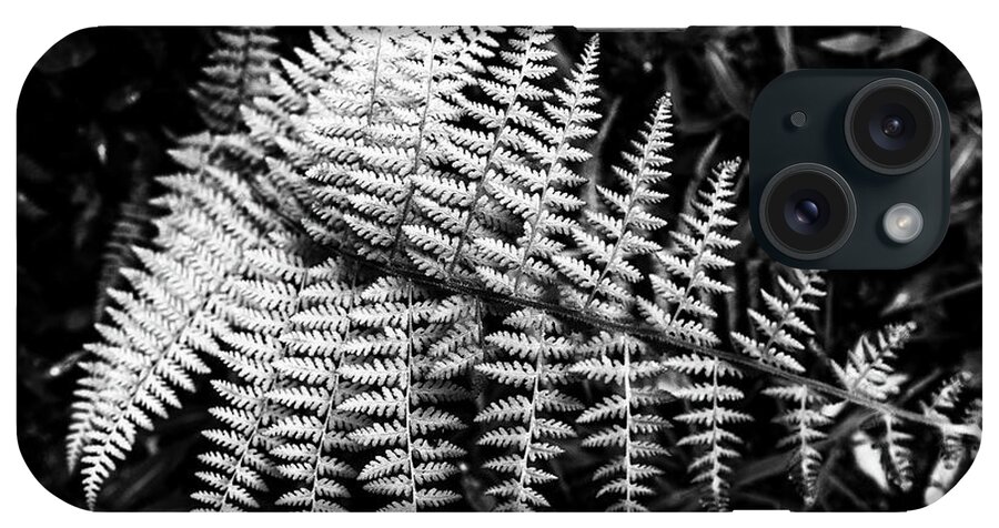 New Jersey iPhone Case featuring the photograph Black and White Fern by Louis Dallara