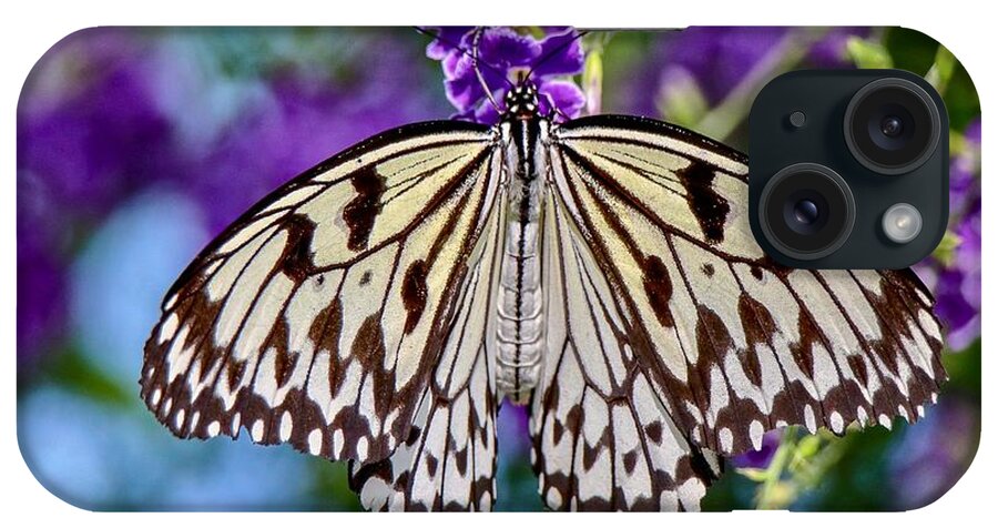 Closeup iPhone Case featuring the photograph Black and White Paper Kite Butterfly by Susan Rydberg