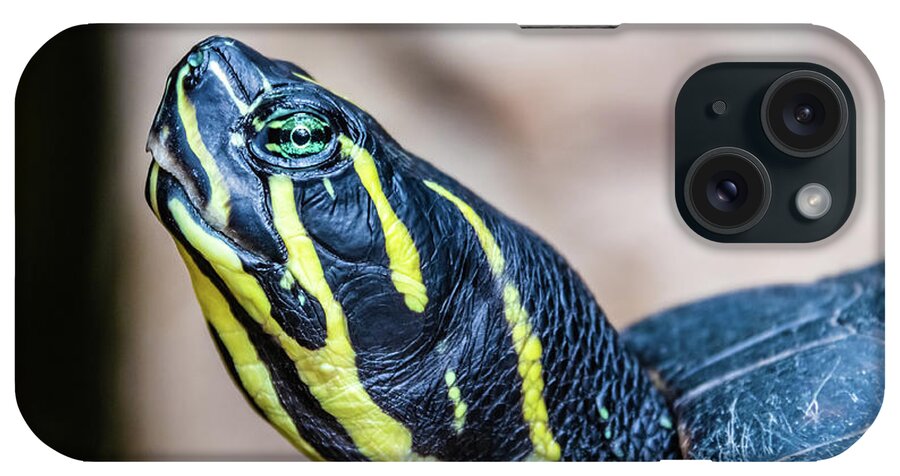Turtle iPhone Case featuring the photograph Black and yellow water turtle portrait by Lyl Dil Creations