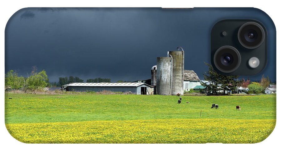 Black Sky Yellow Dandelions Milk Cows iPhone Case featuring the photograph Black Sky Yellow Dandelions Milk Cows by Tom Cochran