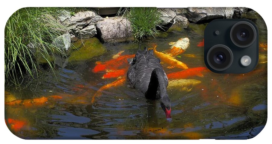 Animals iPhone Case featuring the photograph Black Swan Colorful Koi by Richard Thomas