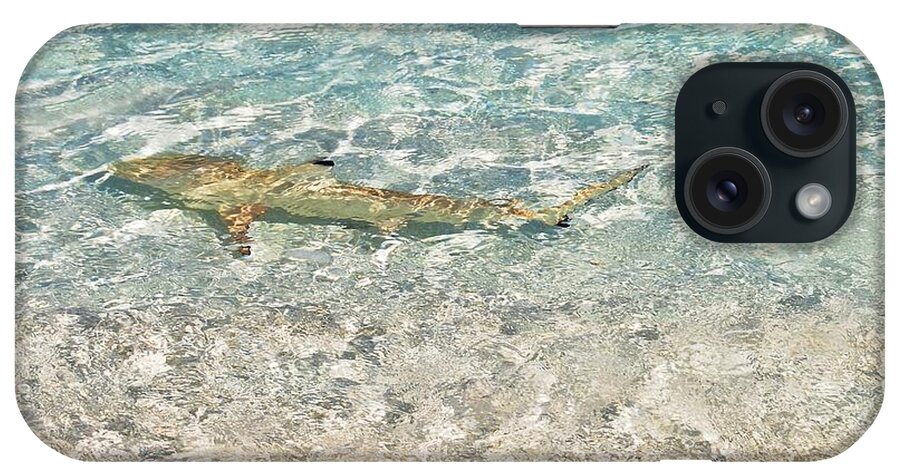 Jenny Rainbow Fine Art Photography iPhone Case featuring the photograph Blacktip Reef Shark in Sparkling Water by Jenny Rainbow