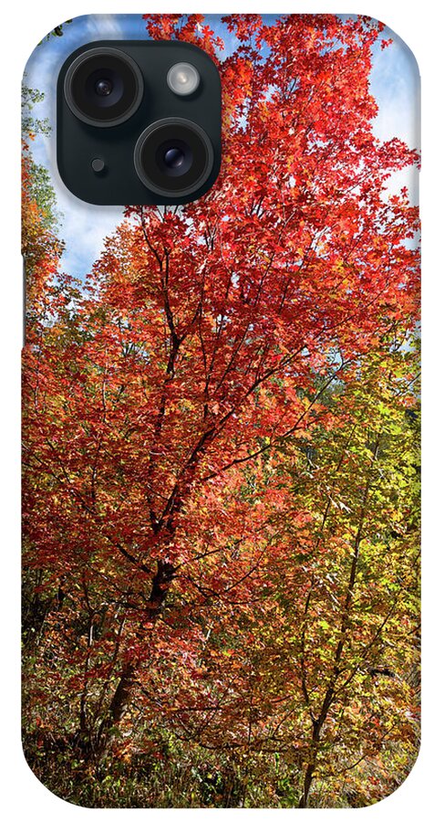 Autumn Landscapes iPhone Case featuring the photograph Blazing Maples in the Canyon by Kathleen Bishop