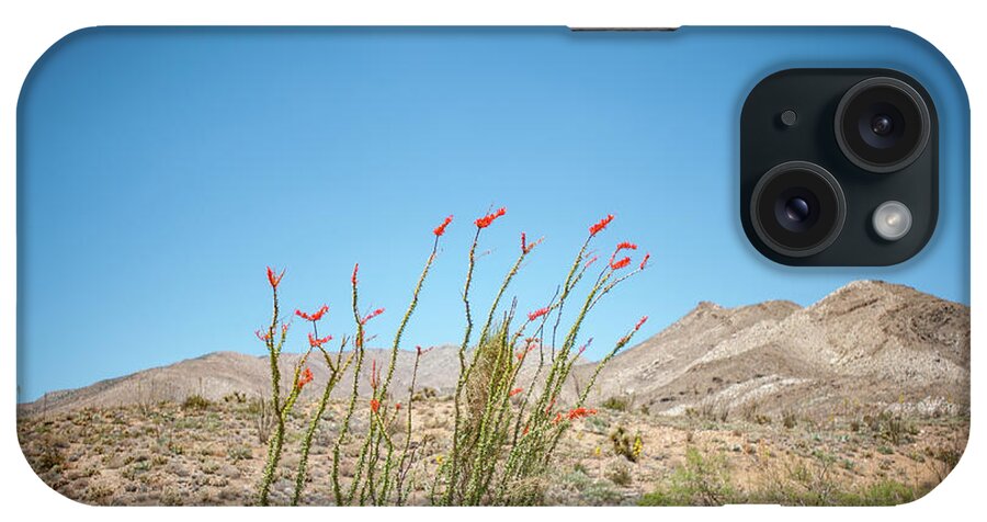 Anza-borrego Desert State Park iPhone Case featuring the photograph Blooming Ocotillo by Mark Duehmig