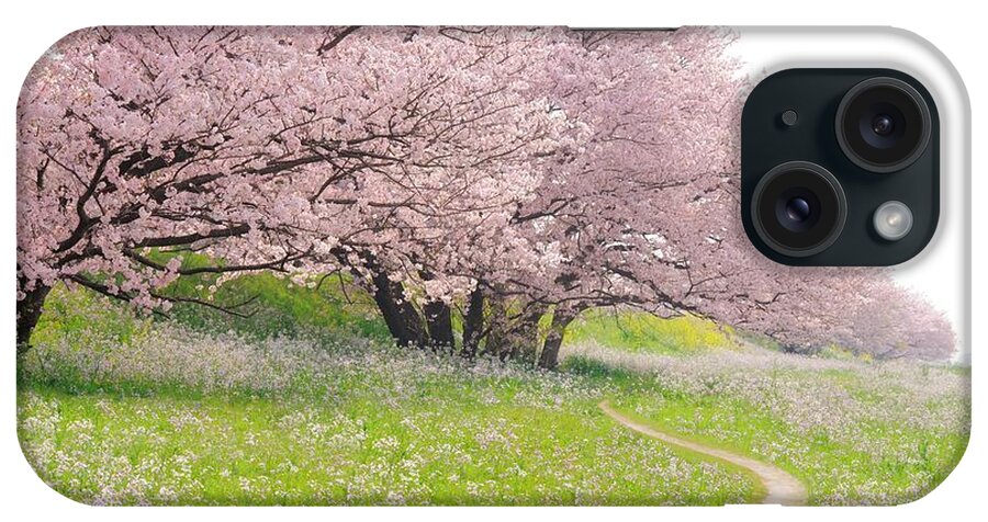Outdoors iPhone Case featuring the photograph Blossoming Yoshino Cherry Trees In A by Photolife/amanaimagesrf