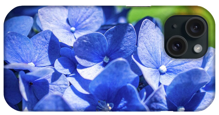 Blue Hydrangea iPhone Case featuring the photograph Blue Beauty by Mary Ann Artz