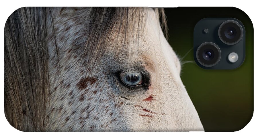 Eyes iPhone Case featuring the photograph Blue Eye by Shannon Hastings