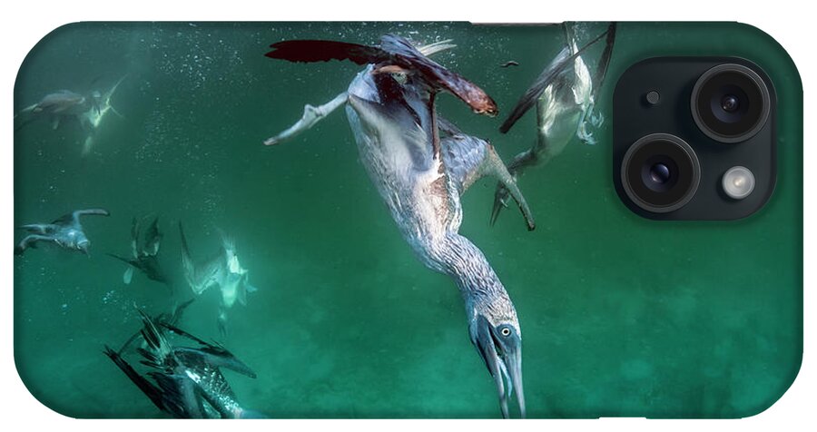 Animal iPhone Case featuring the photograph Blue Footed Boobies Fishing Underwater by Tui De Roy