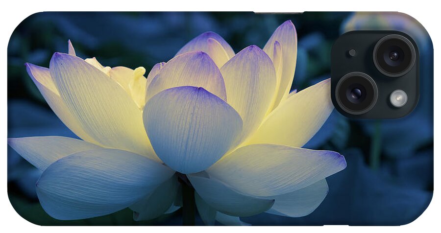 Flower iPhone Case featuring the photograph Blue Hour by Pat Watson