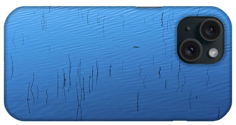 Reed iPhone Case featuring the photograph Blue Hour Reeds on a Pond by William Dickman