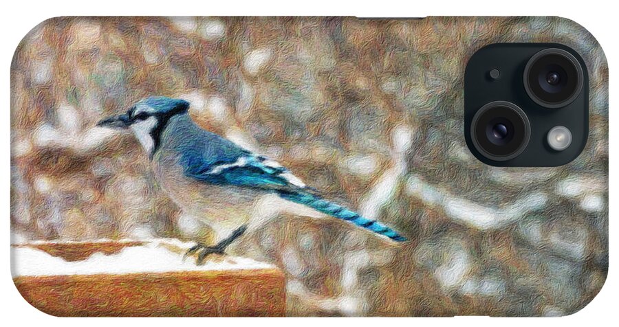 Blue Jay iPhone Case featuring the photograph Blue Jay Morning by Diane Lindon Coy