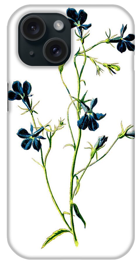 Flower iPhone Case featuring the mixed media Blue Lobelia Flower by Naxart Studio