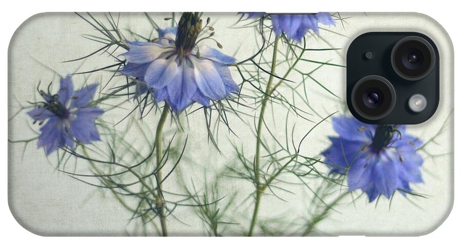 Bulgaria iPhone Case featuring the photograph Blue Nigella Sativa Flowers by By Julie Mcinnes