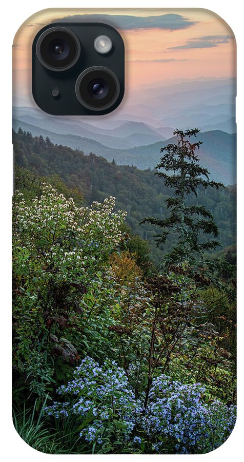 Landscape iPhone Case featuring the photograph Blue Ridge Parkway NC October Wildflowers by Robert Stephens