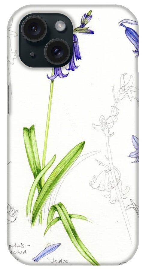 Nobody iPhone Case featuring the photograph Bluebell (hyacinthoides Non-scripta) by Lizzie Harper/science Photo Library