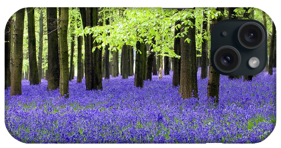 Scenics iPhone Case featuring the photograph Bluebell Wood by Grahamheywood