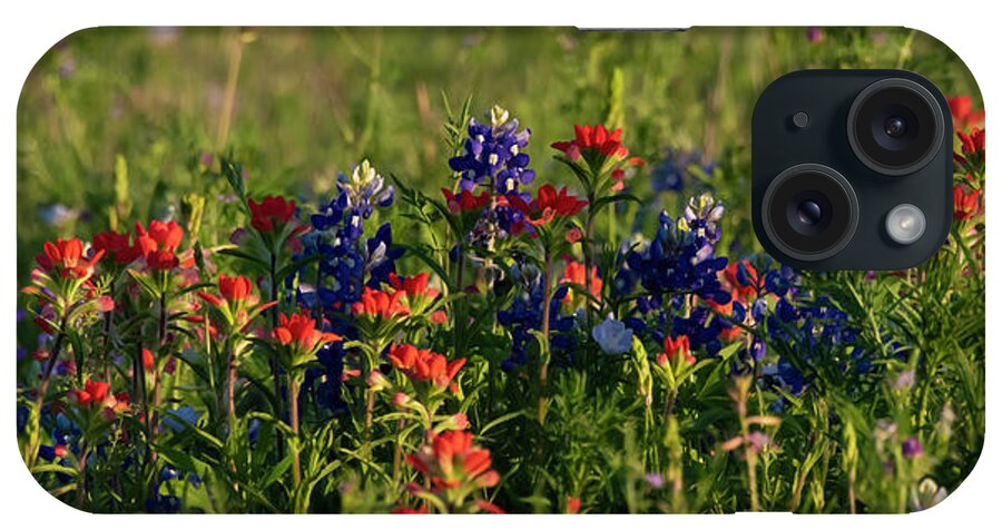 Blue iPhone Case featuring the photograph Bluebonnets and Indian Paintbrush by Patrick Nowotny