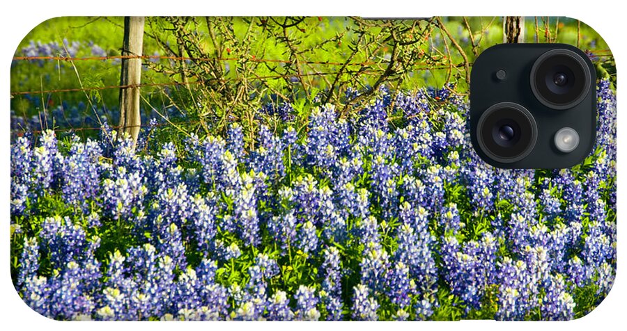 Season iPhone Case featuring the photograph Bluebonnets, Texas by Donovan Reese