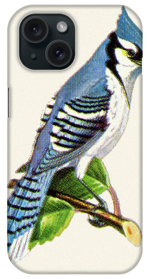 Animal iPhone Case featuring the drawing Bluejay by CSA Images