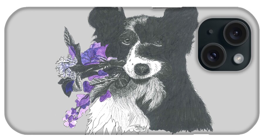 Border Collie iPhone Case featuring the painting Boder Collie Birthday Card by Petra Stephens