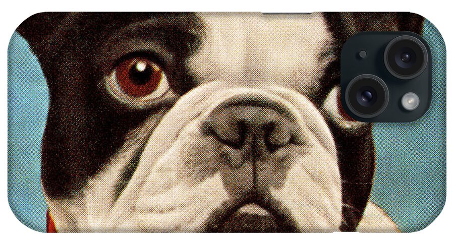 Animal iPhone Case featuring the drawing Boston Terrier/French Bulldog by CSA Images
