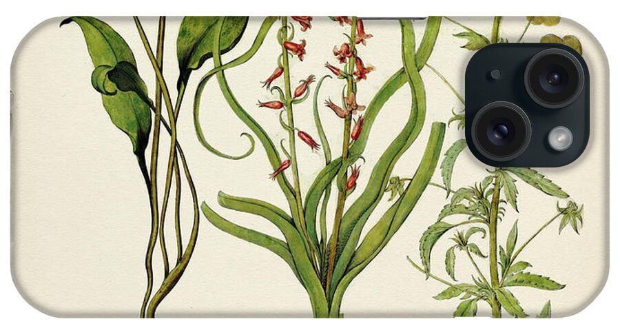 Botanica Nostalgia iPhone Case featuring the digital art Botanica Nostalgia by Tina Lavoie