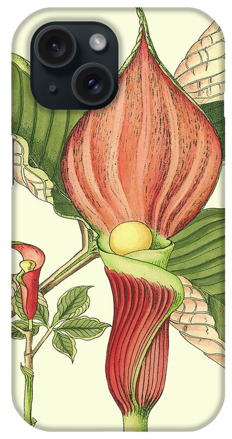Flower iPhone Case featuring the painting Botanical Fantasy I by Unknown