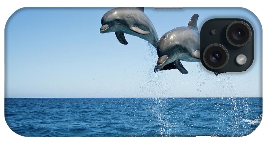 Animal Themes iPhone Case featuring the photograph Bottle Nosed Dolphins Tursiops by Mike Hill