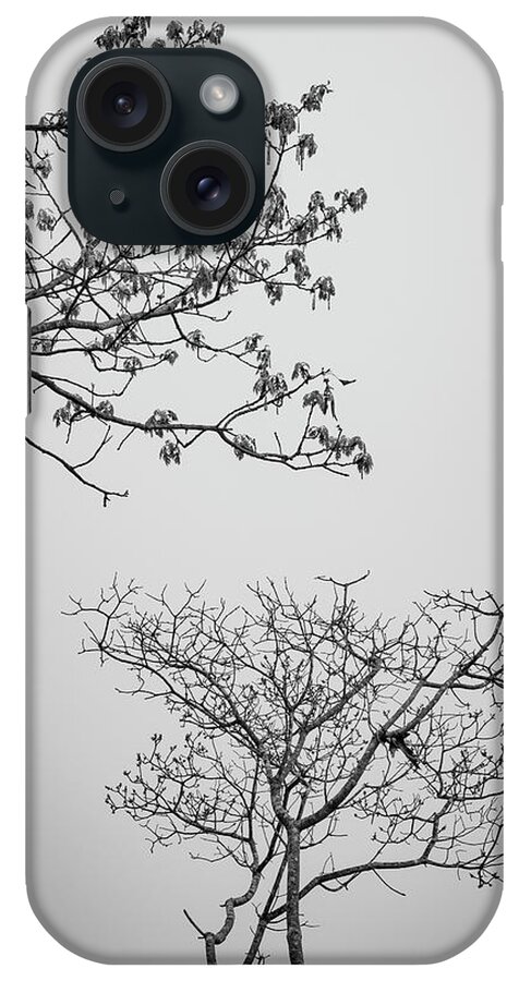 Arbor iPhone Case featuring the photograph Branching Out II BW by David Gordon