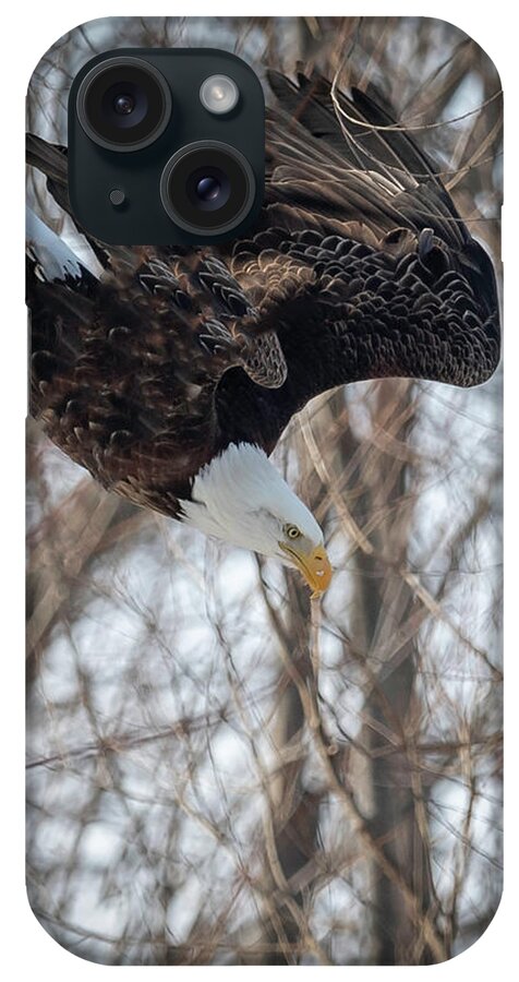 Eagle iPhone Case featuring the photograph Breakfast on the Fly by Laura Hedien