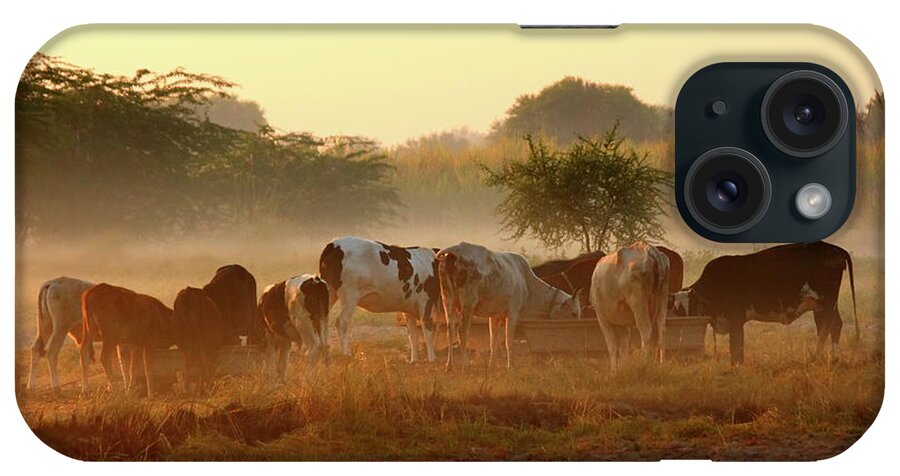 Dawn iPhone Case featuring the photograph Breakfast Time by Amir Mukhtar