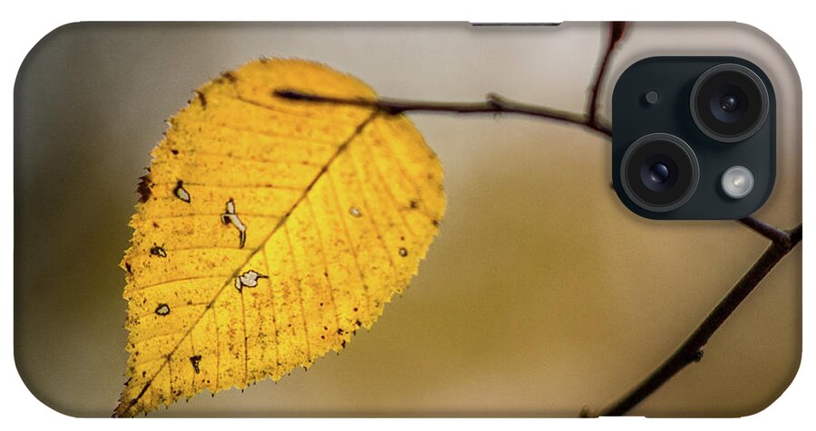 Fall iPhone Case featuring the photograph Bright Fall Leaf 8 by Michael Arend
