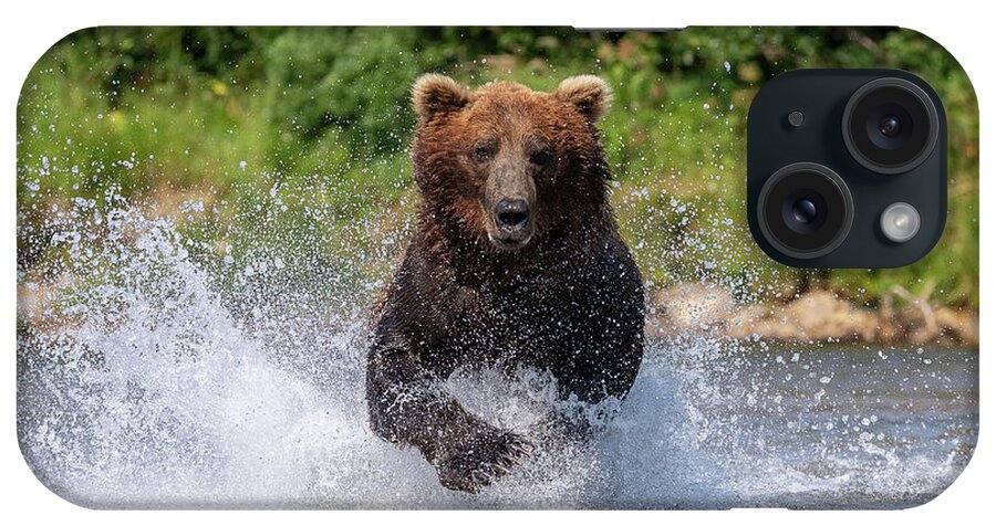 Bear iPhone Case featuring the photograph Brown Bear Charges Head On by Tony Hake